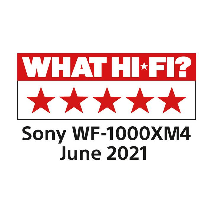 SONY WF-1000XM4 (In-Ear, Bluetooth 5.2, Silber)