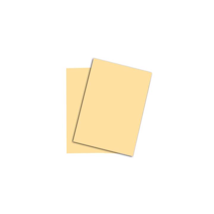 PAPYRUS Papier couleur (500 feuille, A3, 80 g/m2)