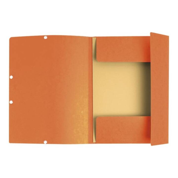 EXACOMPTA Dossier à élastique (Orange, A4, 1 pièce)