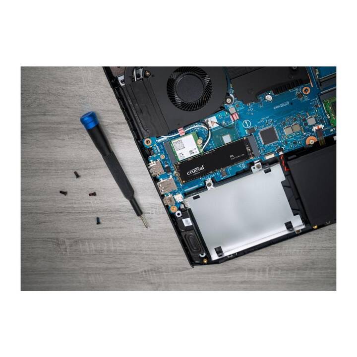 CRUCIAL P3 (PCI Express, 1000 GB)