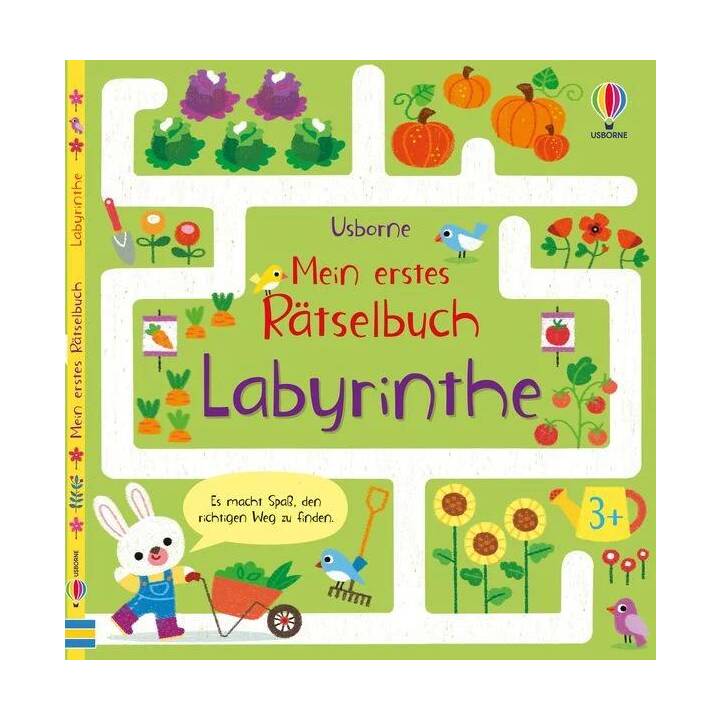 Mein erstes Rätselbuch: Labyrinthe