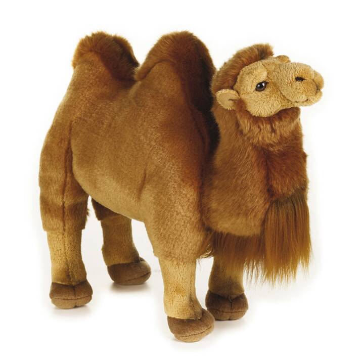 NATIONAL GEOGRAPHIC Camel (26 cm, Brun)