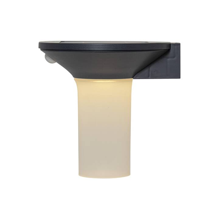 STAR TRADING Lampe solaire Valta (0.21 W, Gris)