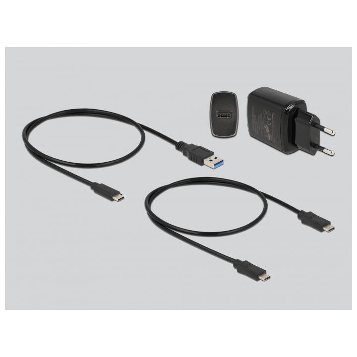 DELOCK Stazione d'aggancio (M.2, USB 3.2 Gen 2x2 tipo-C)