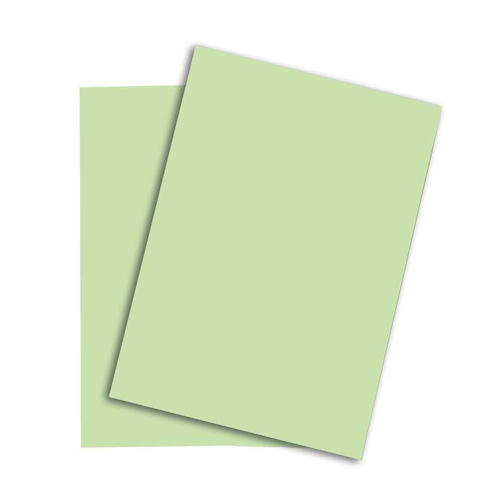 PAPYRUS Papier couleur (250 feuille, A3, 120 g/m2)