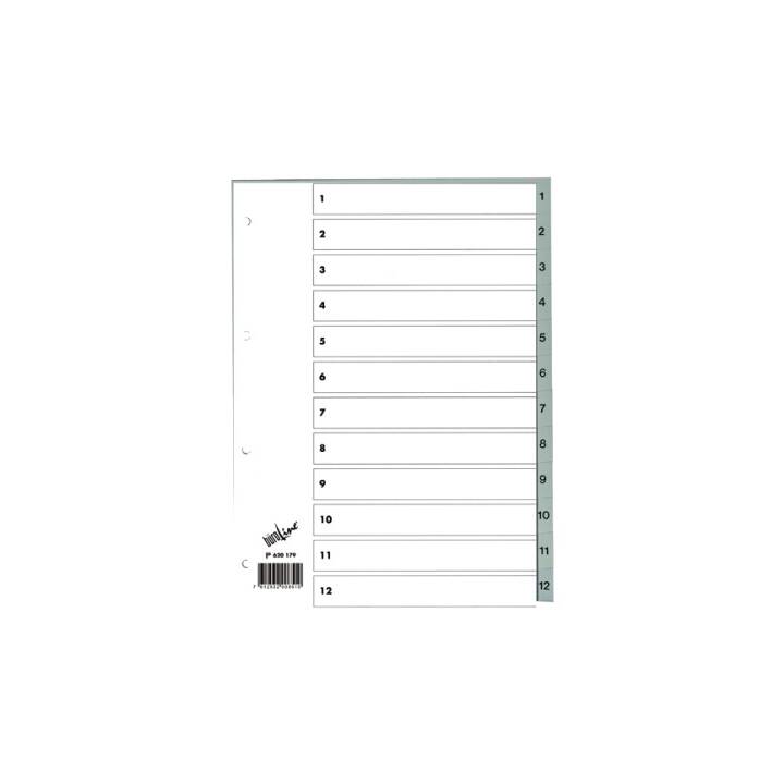 BÜROLINE Register (12 x A4, Nummerisch)