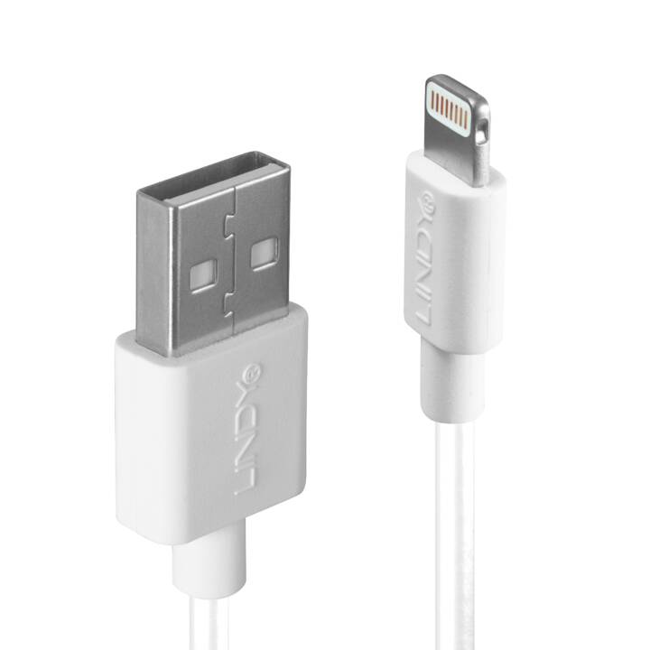 LINDY Câble de connexion (USB 2.0 Type-A, Lightning, 50 cm)