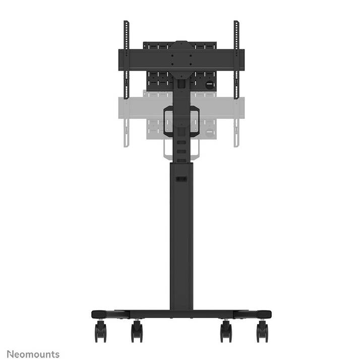 NEWSTAR TV Ständer FL50S-825BL1