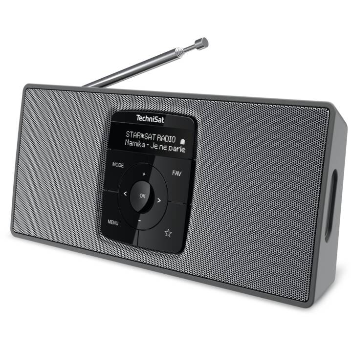 TECHNISAT 2 S Radios numériques (Argent, Noir)