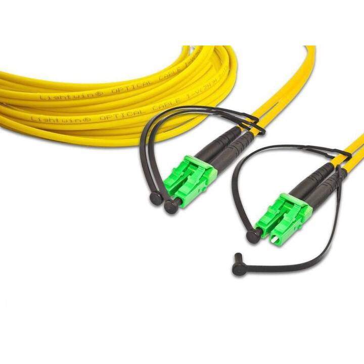 LIGHTWIN Câble réseau (APC-LC, 10 m)