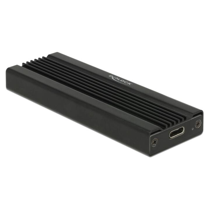 DELOCK Boîtier externe Type-C/M.2 NVME SSD