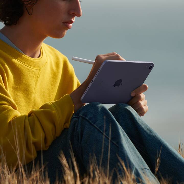 APPLE iPad mini Wi-Fi 2021 (8.3", 256 GB, Polarstern)