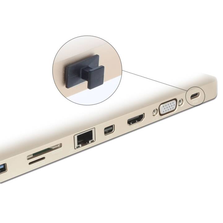 DELOCK 10 x USB-C Systèmes anti-poussières du fiche