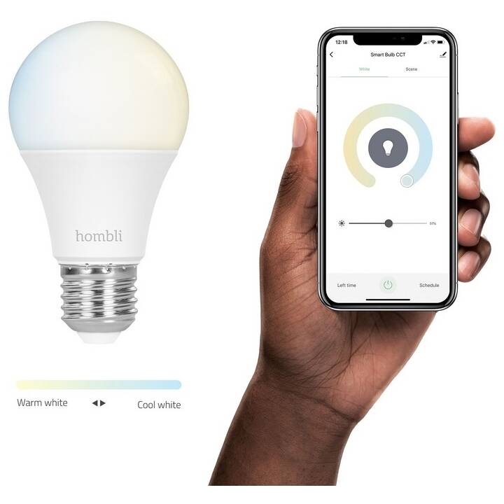 HOMBLI LED Birne Smart Bulb (E27, WLAN, 9 W)