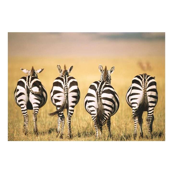 RAVENSBURGER Animaux de la forêt Zebra Puzzle (300 x)
