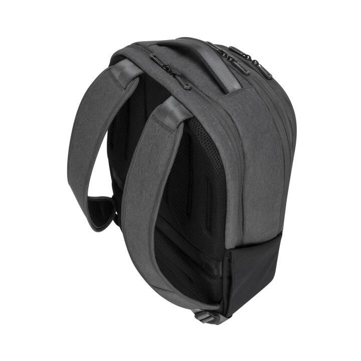 TARGUS TBB58602GL Rucksack (15.6", Grau)