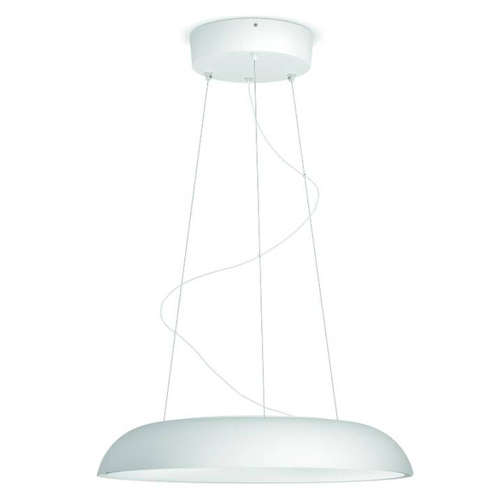 PHILIPS HUE Lampes à suspension Hue Amaze Basis BT (LED)