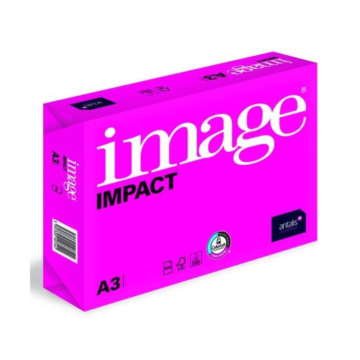 ANTALIS Impact Papier photocopie (1250 feuille, A3, 120 g/m2)