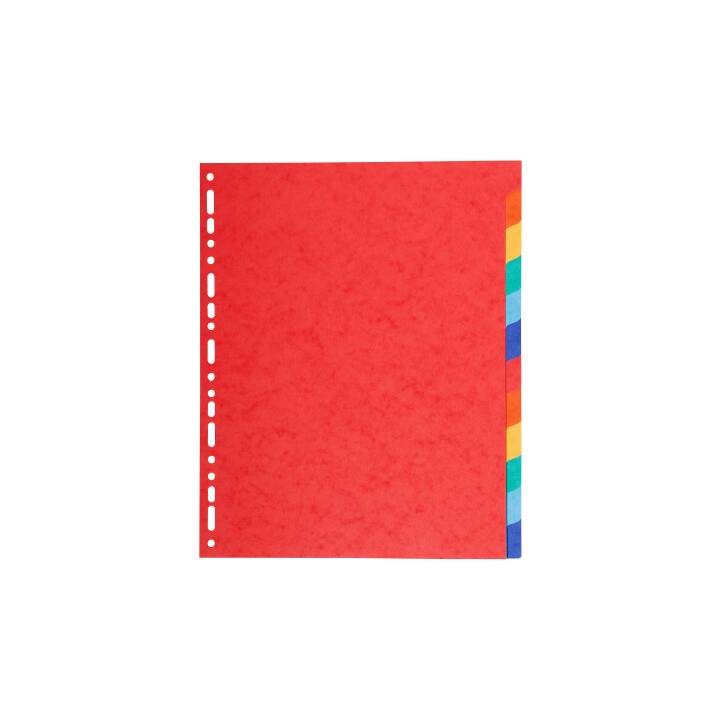 BIELLA Top Color Register (12 x A4, Farblich)