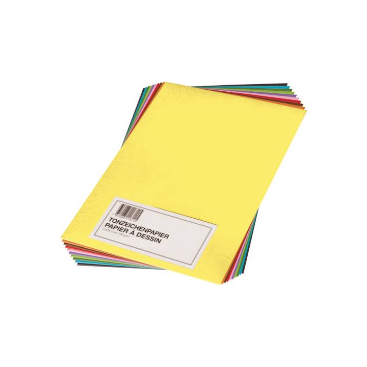PAPYRUS Papier à dessin de couleur (Coloris assortis, A4, 100 pièce)