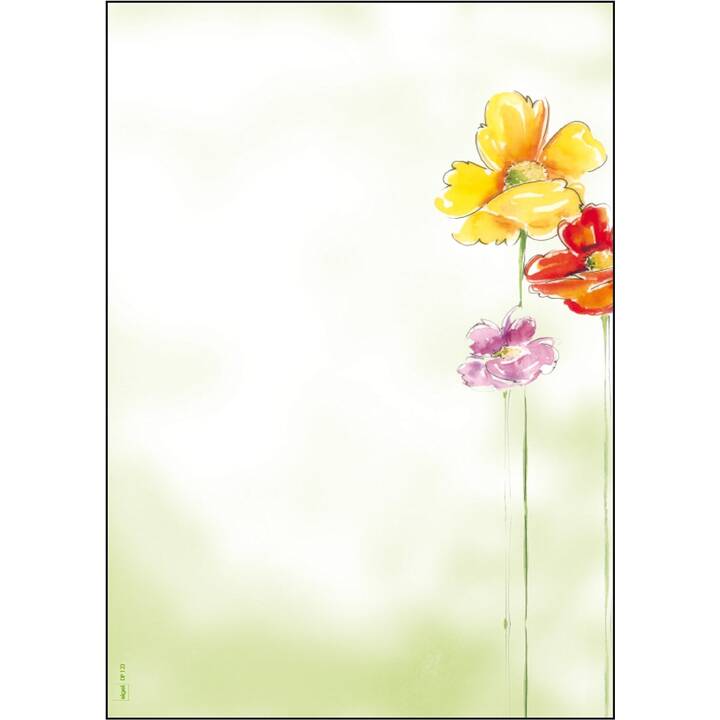 SIGEL Papier couleur (50 feuille, A4, 90 g/m2)