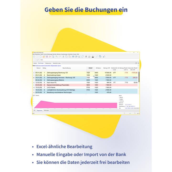 BANANA Buchhaltung Plus - Professional (Licence, 1 année, Allemand)