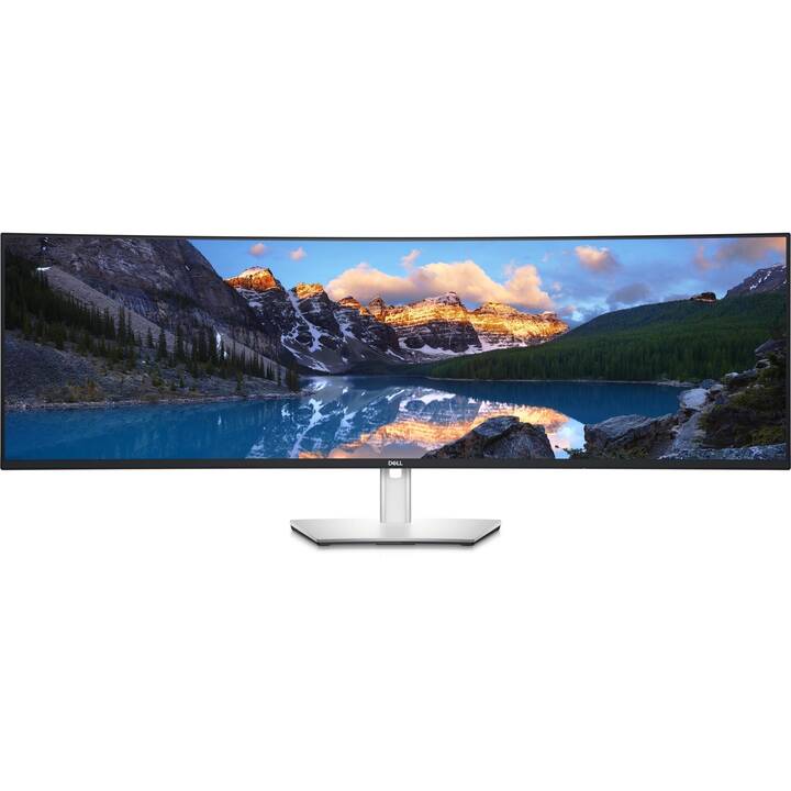 DELL U4924DW (49", 5120 x 1440)