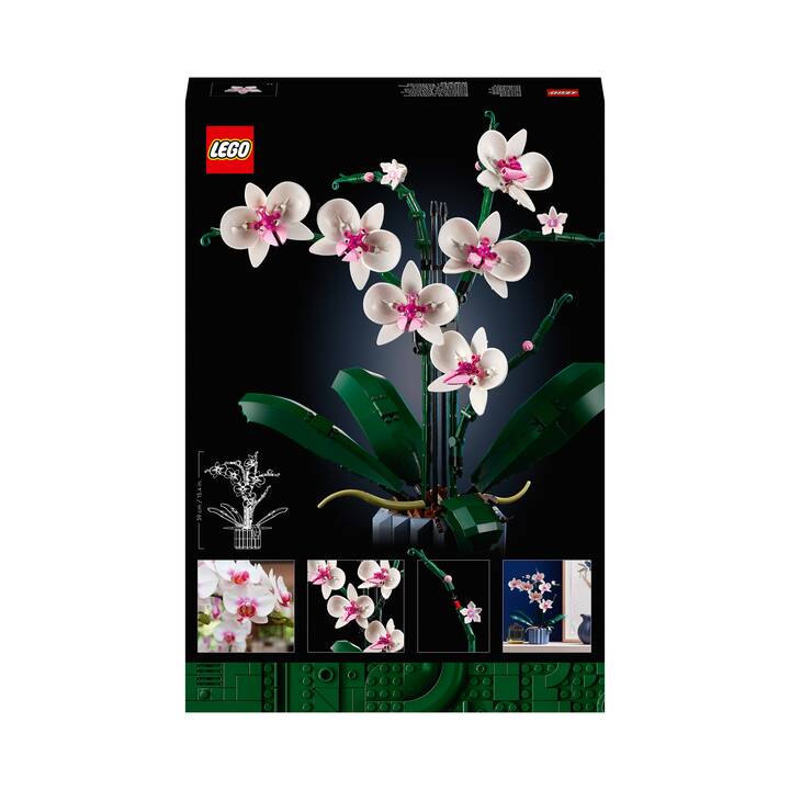 LEGO Icons Orchidee (10311)