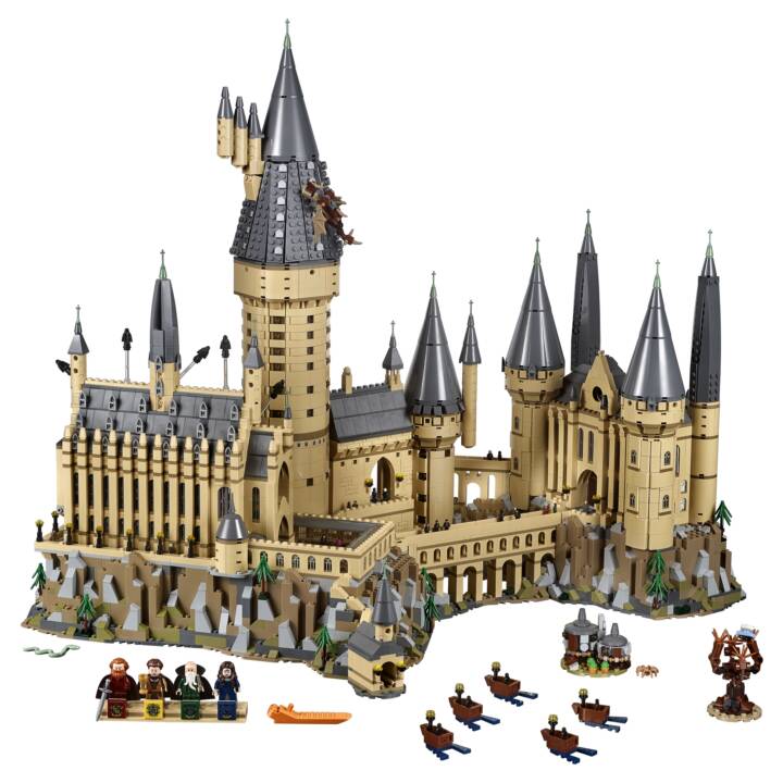 LEGO Harry Potter Schloss Hogwarts (71043, seltenes Set)