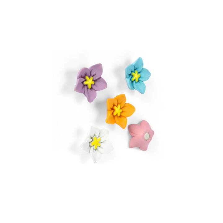 TRENDFORM Blossom Punaises magnétique (5 pièce)
