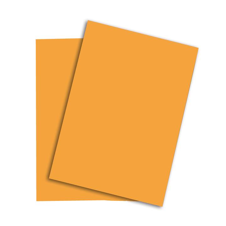 PAPYRUS Rainbow Papier Farbiges Papier (500 Blatt, A4, 80 g/m2)