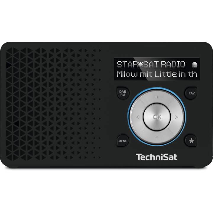 TECHNISAT DigitRadio 1 Digitalradio (Schwarz)