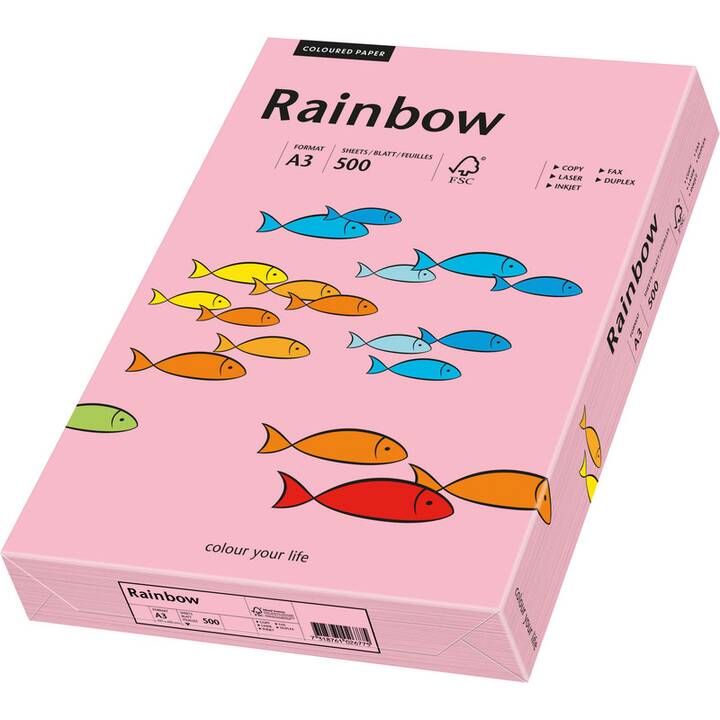 PAPYRUS Rainbow Papier couleur (500 feuille, A3, 80 g/m2)
