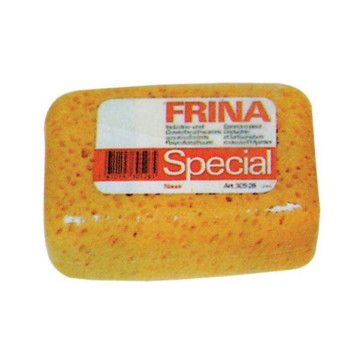 FRINA Reinigungsschwamm Special (1 Stück)