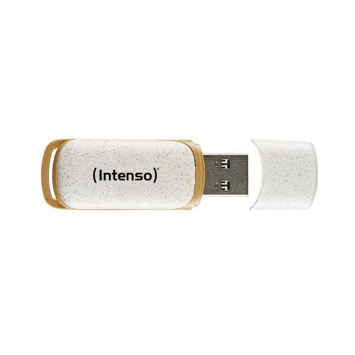 INTENSO Green Line (64 GB, USB 3.2 Typ-A)