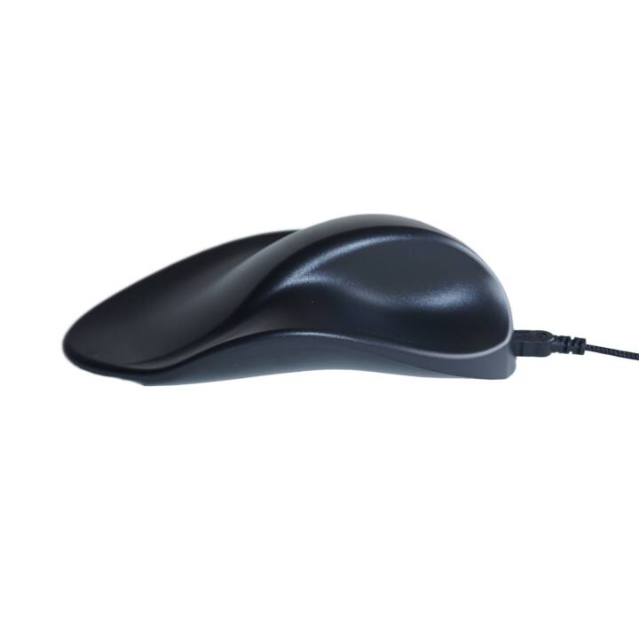 EVOLUENT BNEP190L Mouse (Cavo, Office)
