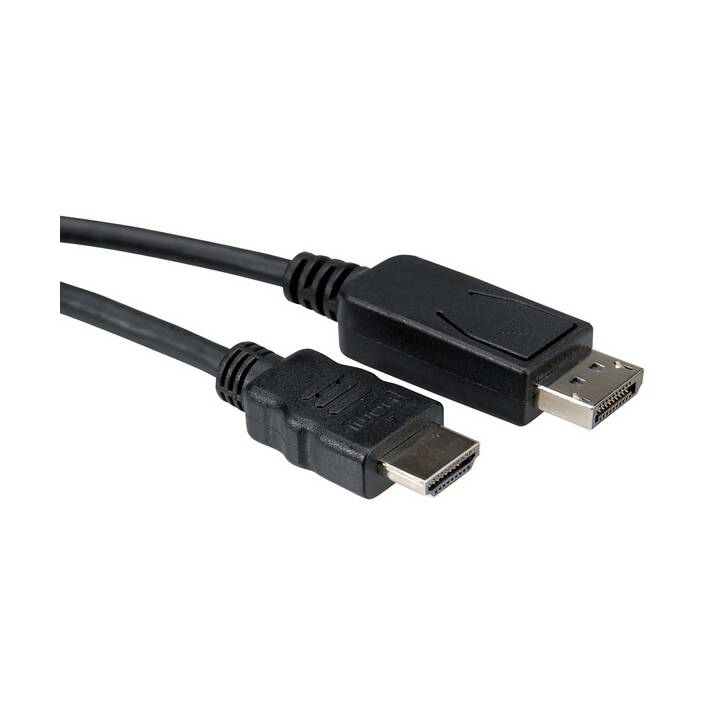 ROLINE Verbindungskabel (DisplayPort, HDMI, 1 m)