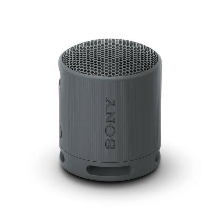 SONY SRS-XB100 (Nero)