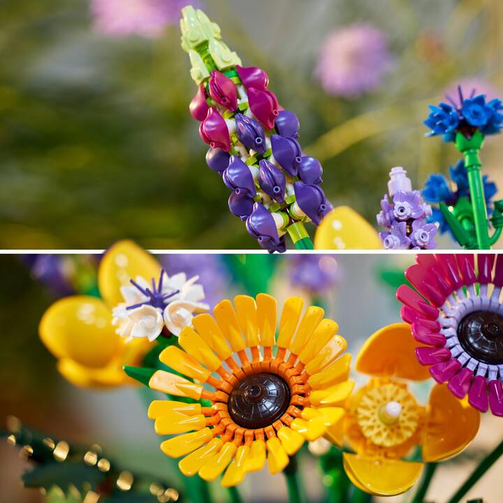 LEGO Icons Bouquet de fleurs sauvages (10313)