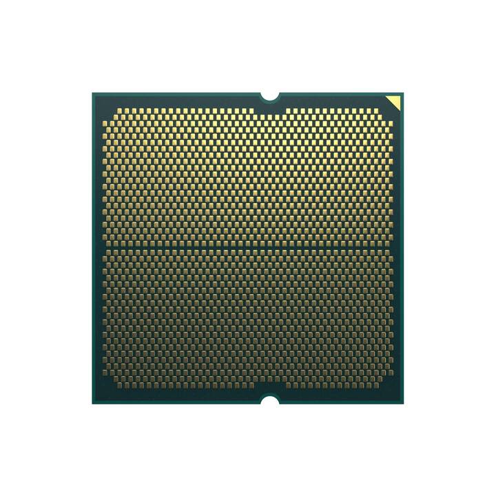 AMD 7800X3D (AM5, 4.2 GHz)