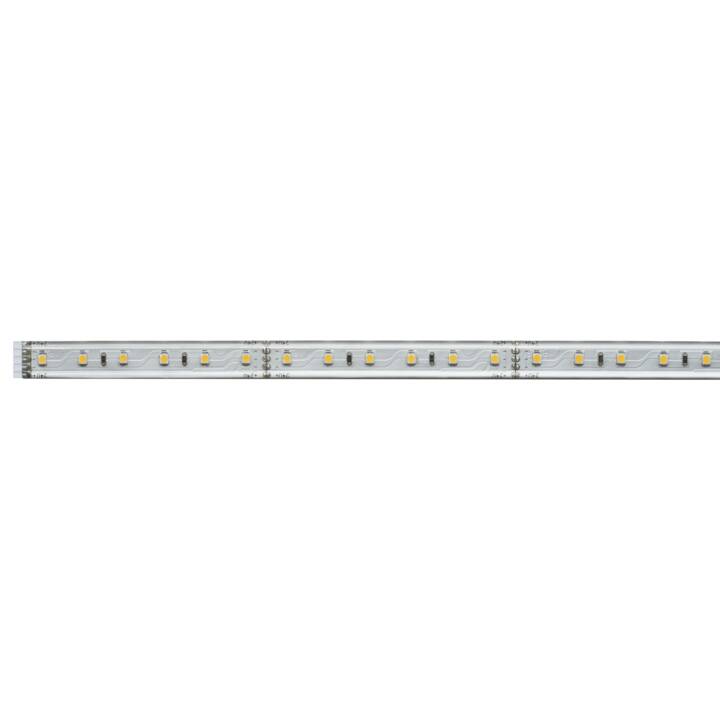 PAULMANN MaxLED LED Light-Strip (100 cm)