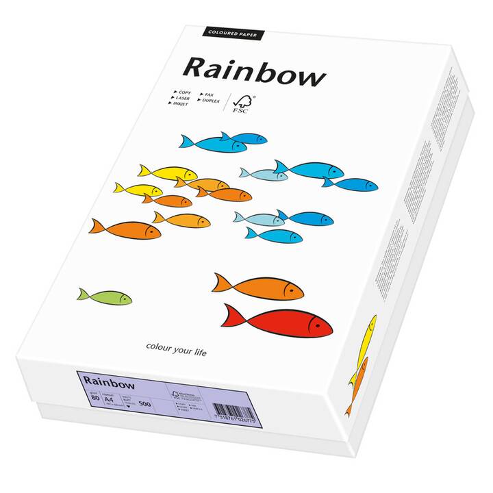 PAPYRUS Rainbow Farbiges Papier (500 Blatt, A4, 80 g/m2)