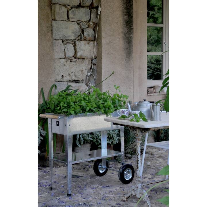 HERSTERA Jardiniere surélevée Urban Garden Trolley (Argent, 47 l, 80 cm x 75 cm x 35 cm)