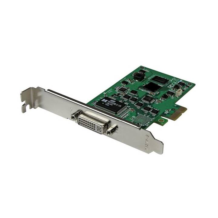 STARTECH.COM Videoaufnahmeadapter (DVI)