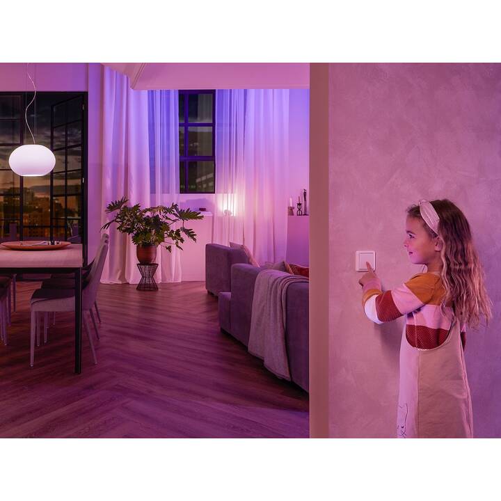 PHILIPS HUE Module de commutation Wall Switch