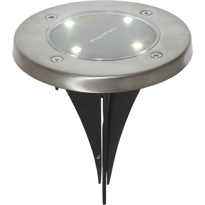 STAR TRADING Lampe solaire Lawnlight (0.18 W, Argent)