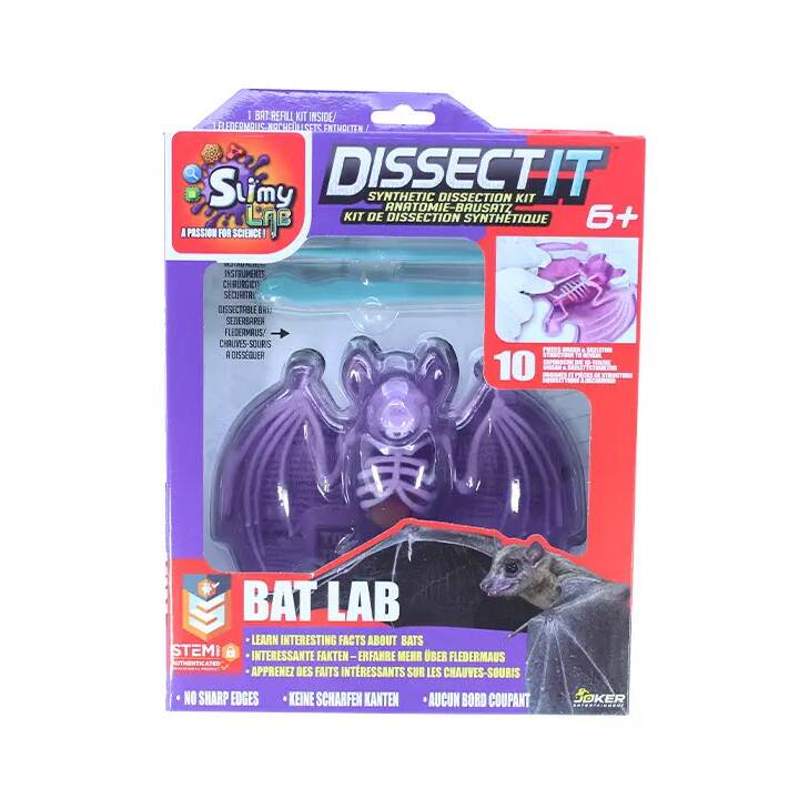  Dissect-it Bat Lab Set per avventuriero (Anatomia)