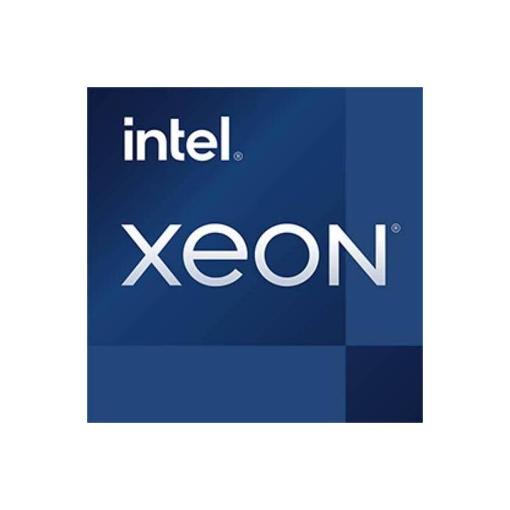 LENOVO ThinkStation P5 (Intel Xeon W w3-2435, 32 GB, 1000 GB SSD, 1 TB SSD, Nvidia RTX A2000)