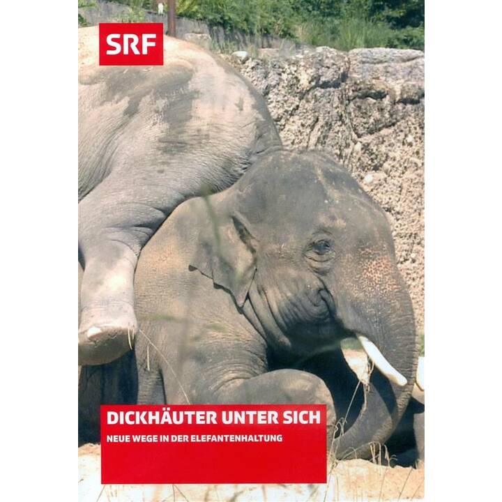 Dickhäuter unter sich - Neue Wege in der Elefantenhaltung (GSW)