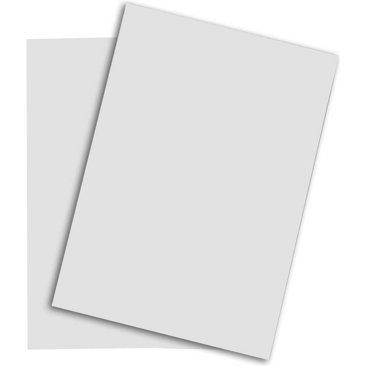 PAPYRUS Rainbow Carta colorata (250 foglio, A3, 160 g/m2)